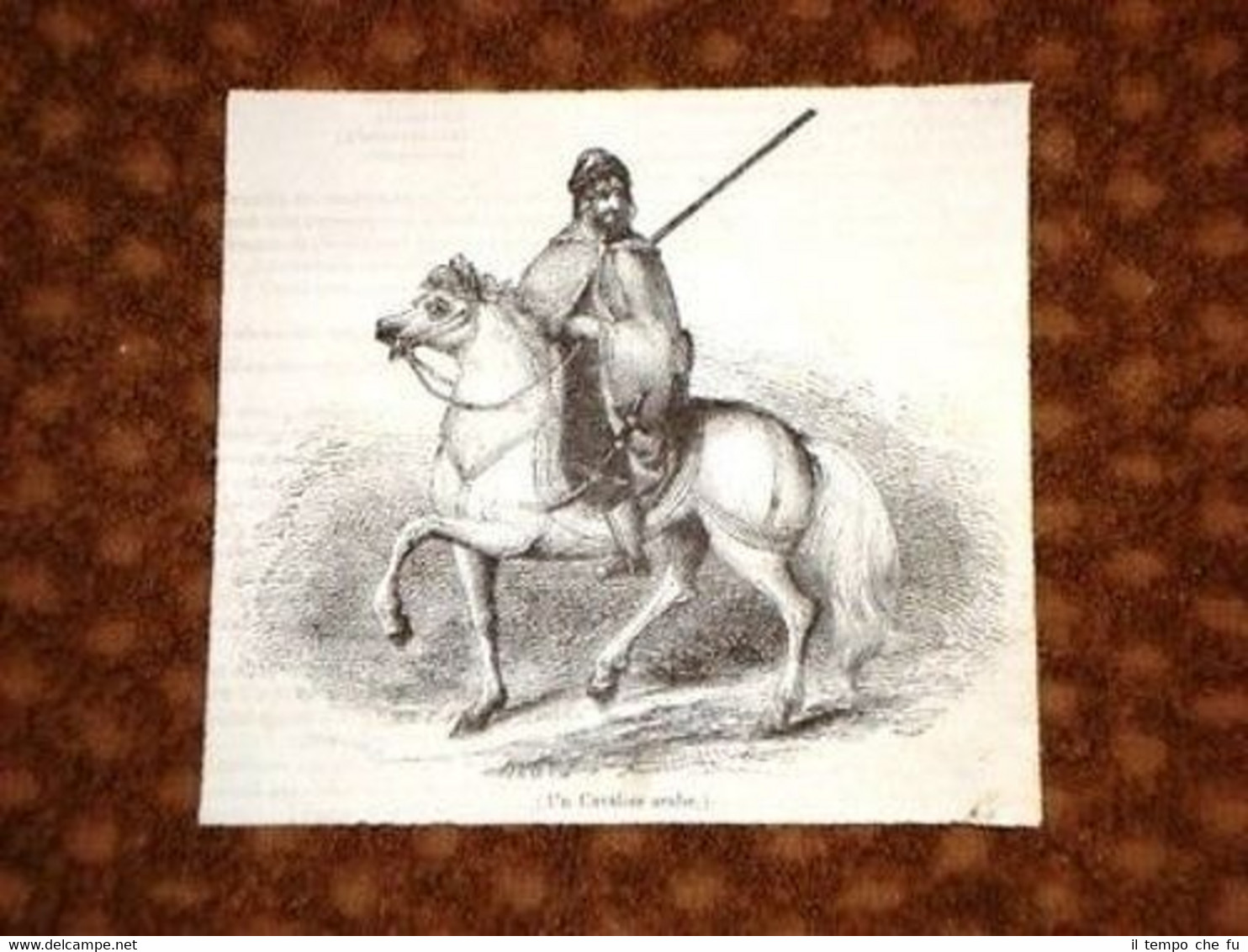 Un Cavaliere Arabo Cavalleria Araba Arabia