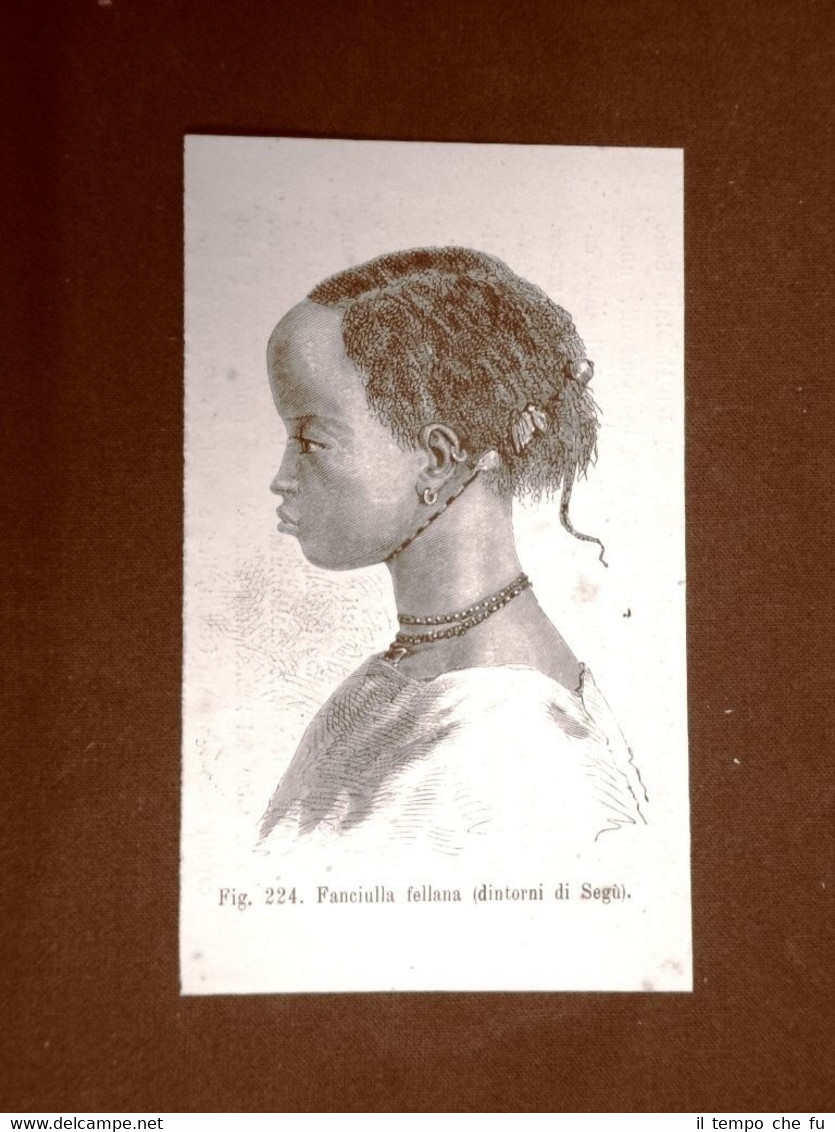 Una fanciulla o donna fellana nel 1883 Ségou Mali Moda …