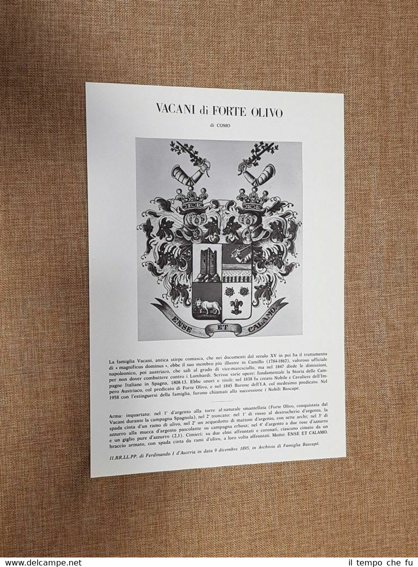 Vacani di Forte Olivo di Como Stemma Famiglia Nobile Nobiltà …