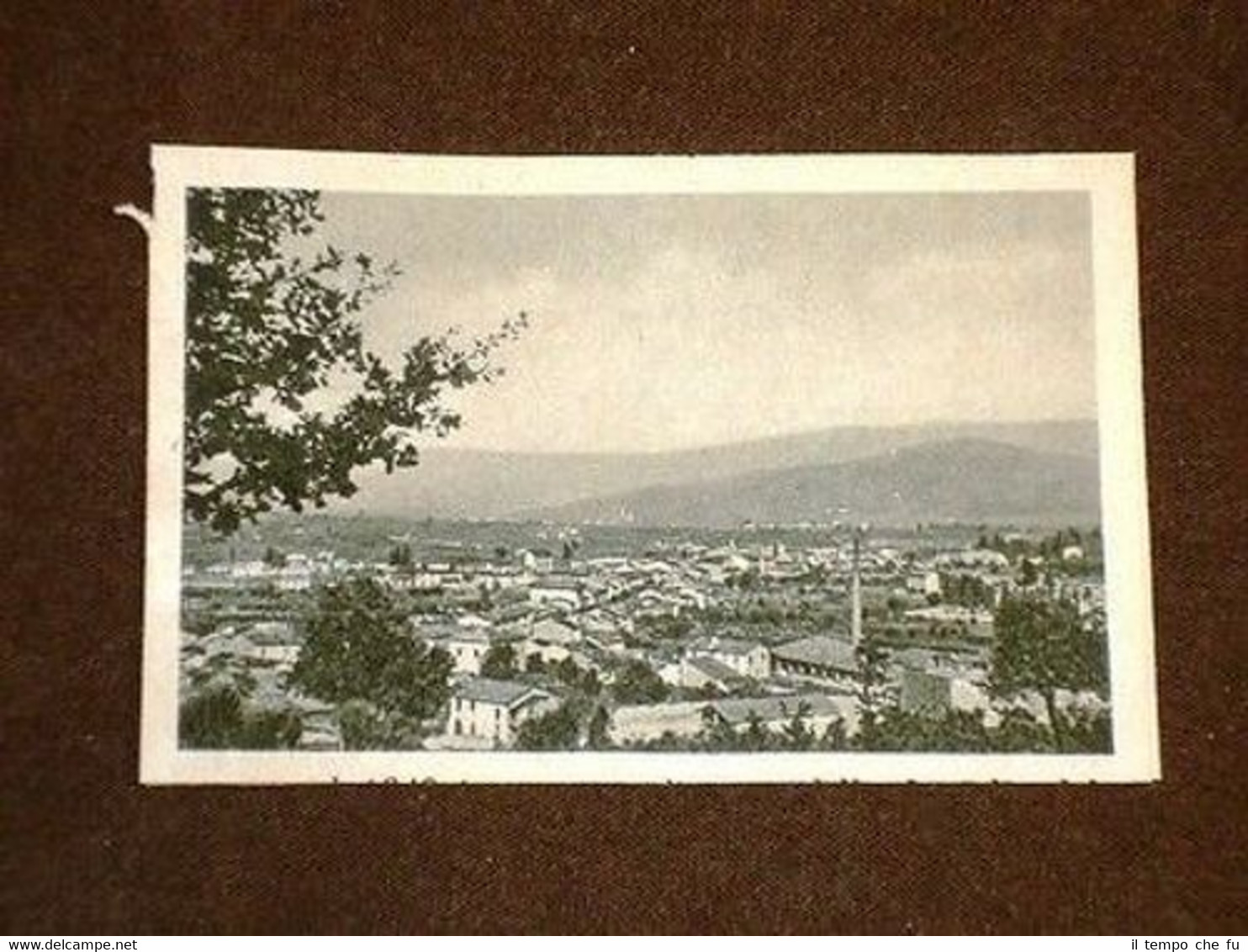 Veduta di Monsummano Terme