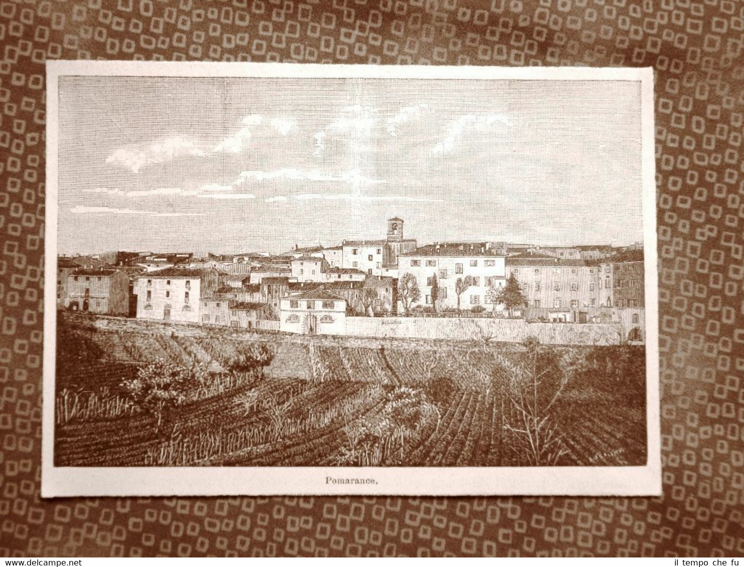Veduta di Pomarance del 1894 Pisa Toscana