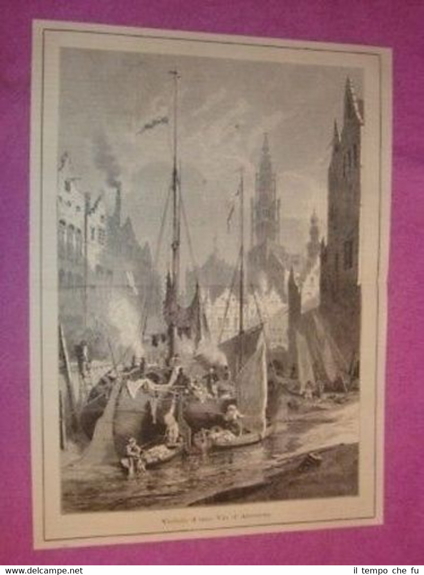 Veduta di una Via di Anversa Antwerpen Anvers in Belgio