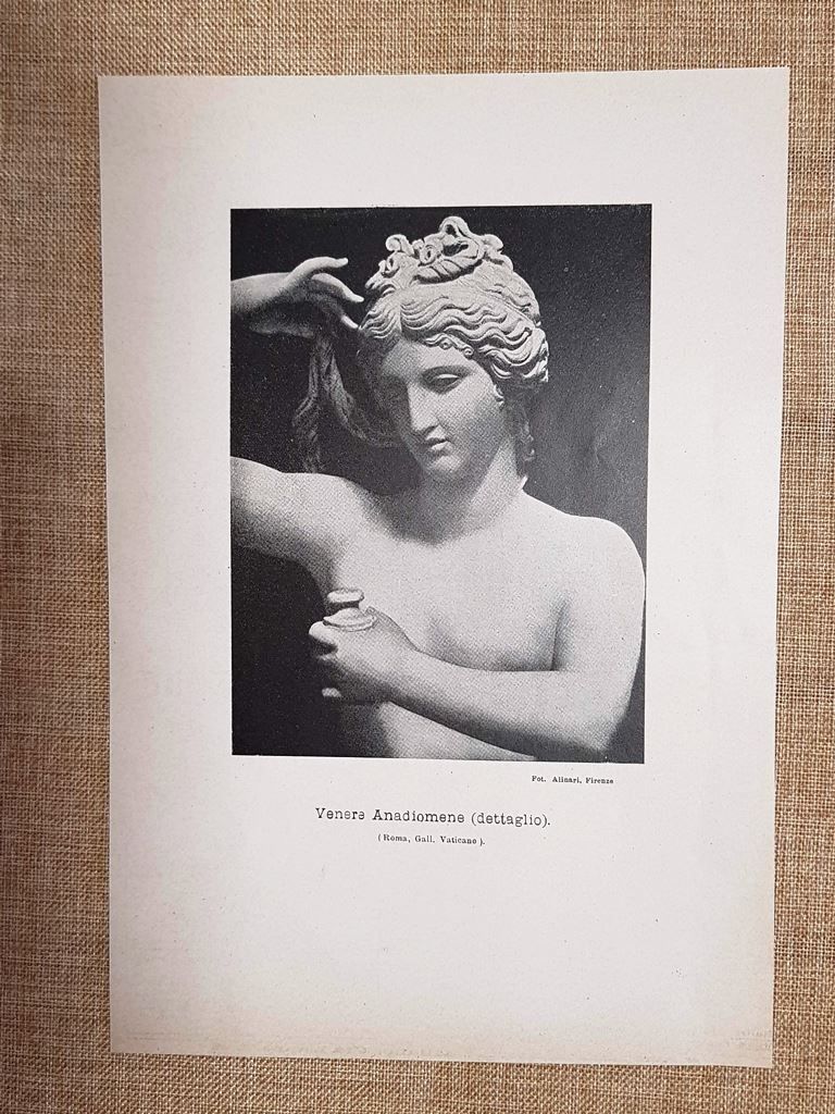 Venere Anadiomene (dettaglio) Roma Gallerie Vaticane Stampa del 1899
