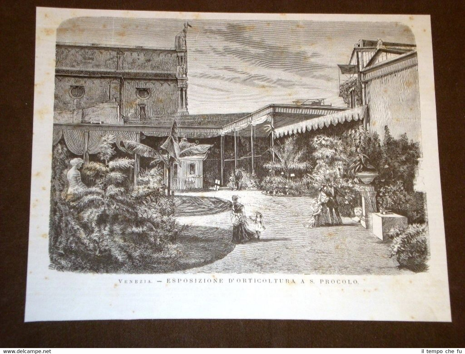 Venezia nel 1875 Esposizione d'orticoltura a San Procolo