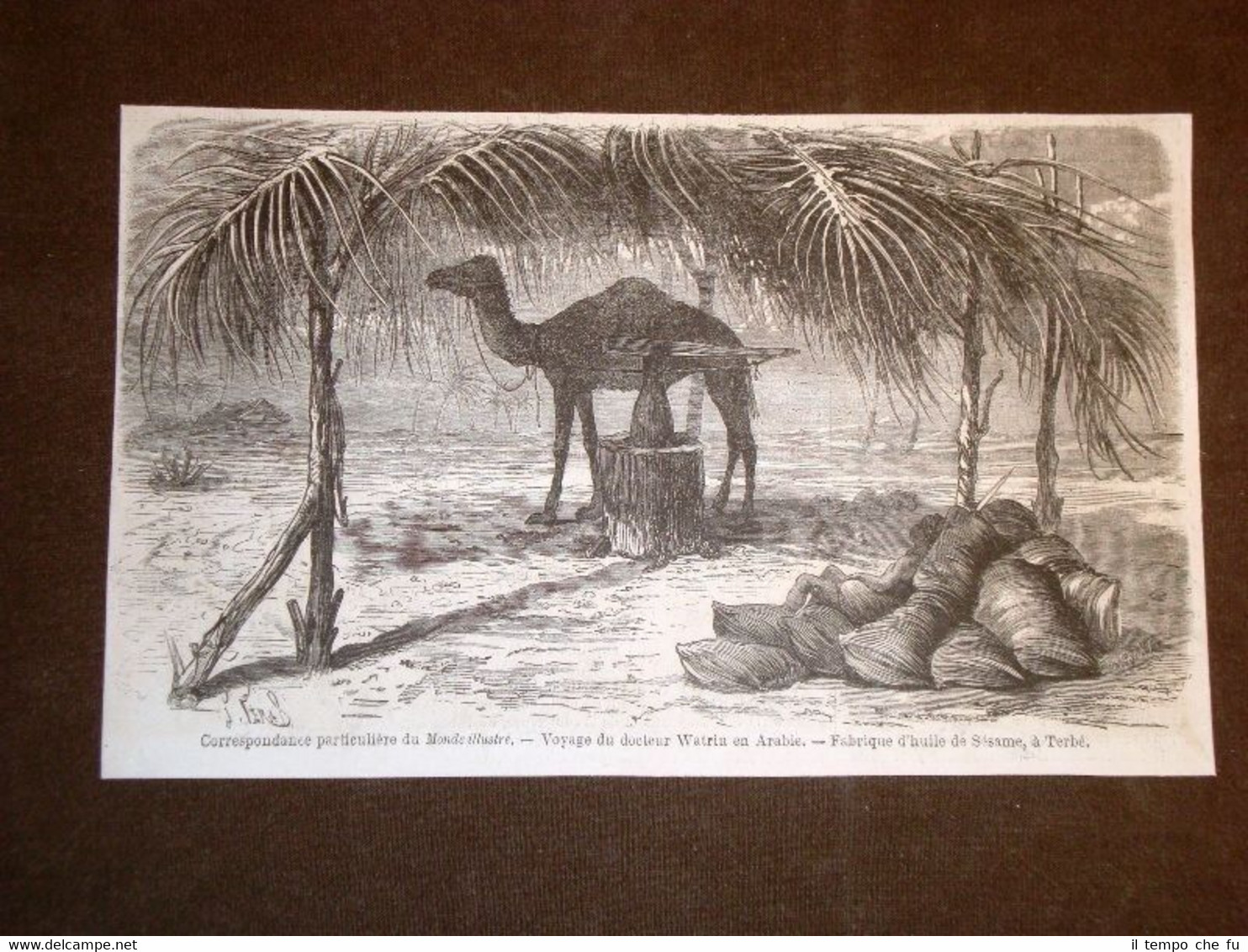 Viaggio del Dr. Watrin in Arabia nel 1869 Il Molino …