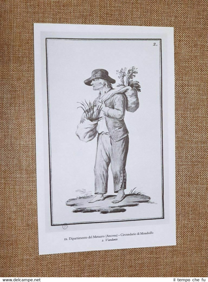 Viandante e agricoltore Mondolfo Metauro Ancona Regno Italico d'Italia 1805-1814