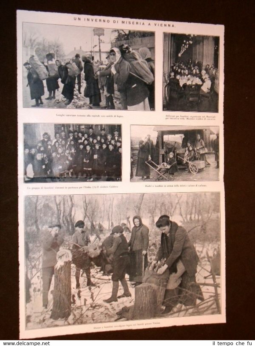 Vienna nel 1920 Sindaco Caldara Razione di carbone Legna nei …