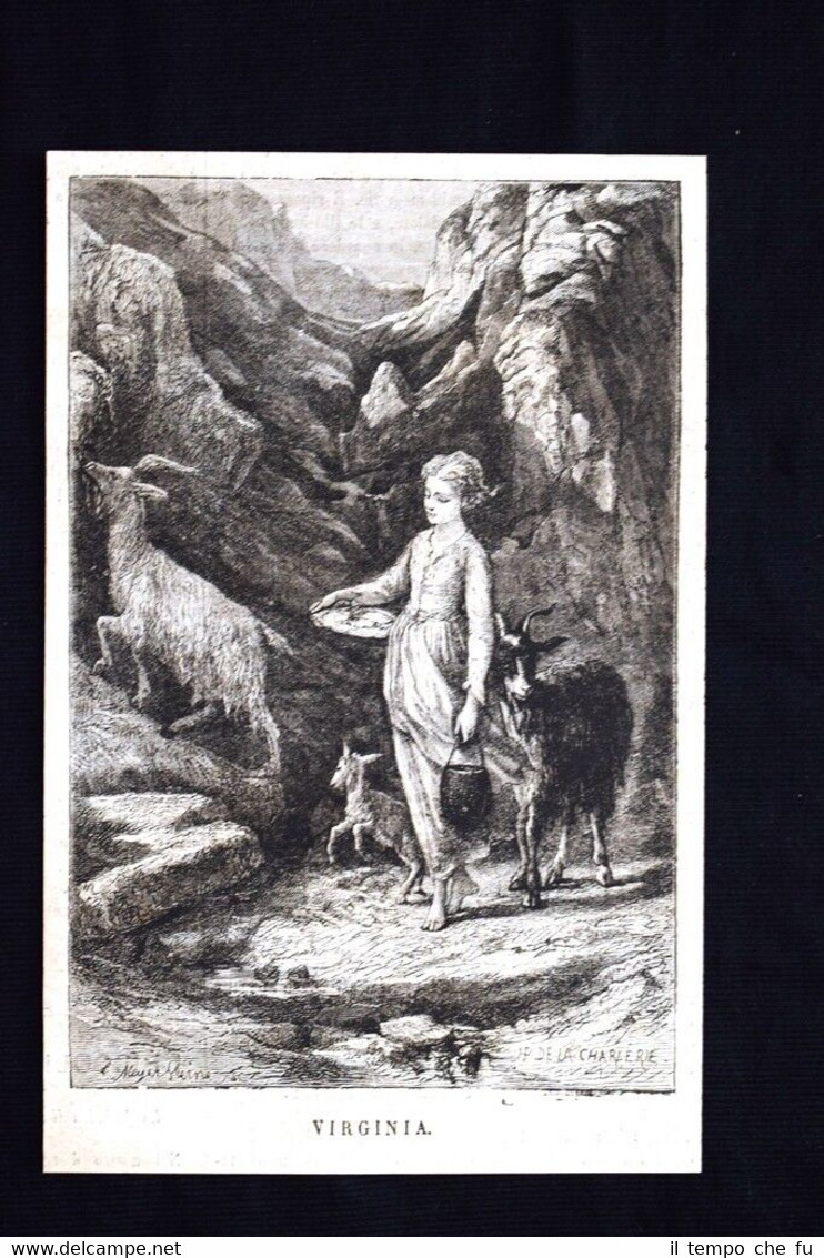 Virginia Incisione di De La Charlerie Incisione del 1869