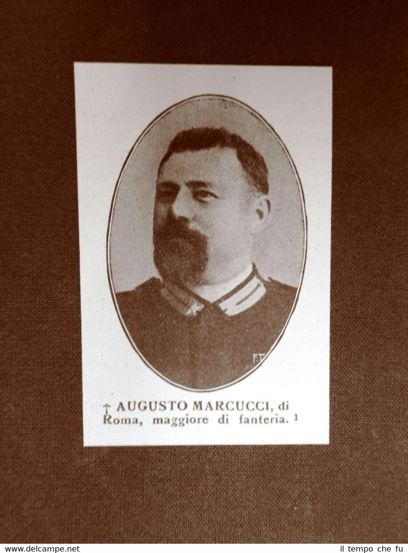 WW1 Prima guerra mondiale 1914-1918 Caduto Augusto Marcucci di Roma