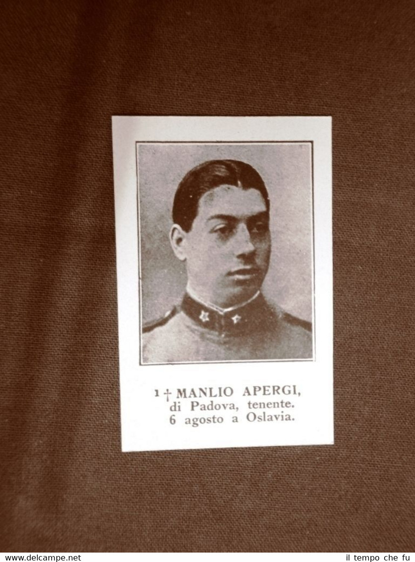 WW1 Prima guerra mondiale 1914-1918 Caduto Manlio Apergi di Padova …