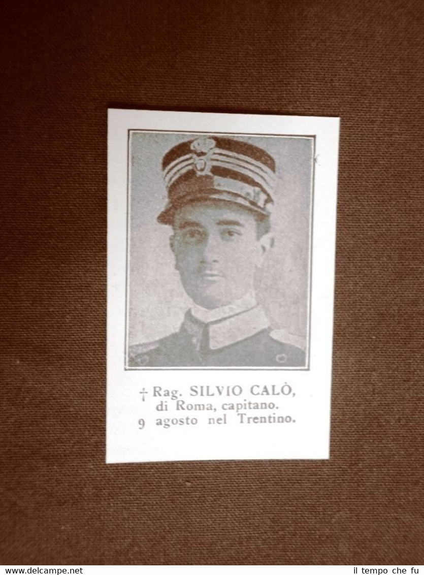 WW1 Prima guerra mondiale 1914-1918 Caduto Silvio Calò di Roma