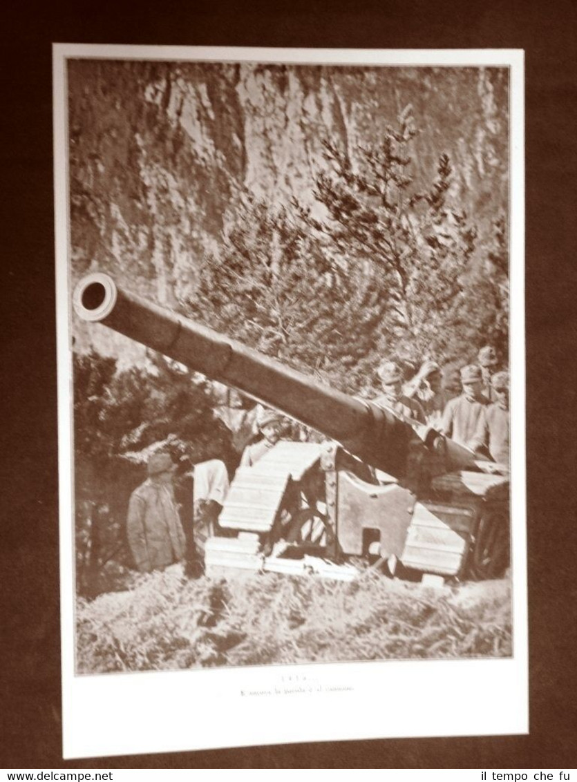 WW1 Prima guerra mondiale 1914-1918 Cannone d'artiglieria nel 1916 e …