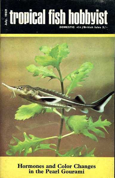 Lo zoo. Ediz. a colori. Con puzzle