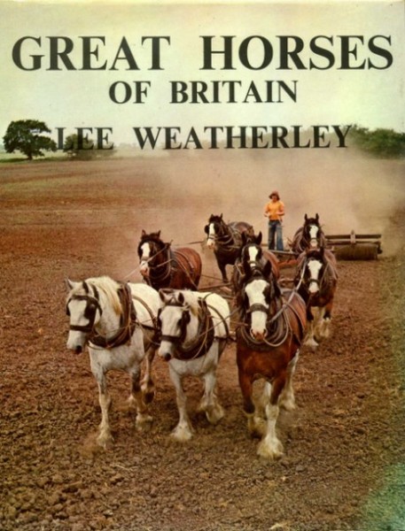 Piramide. Le inchieste del commissario Wallander. Vol. 9