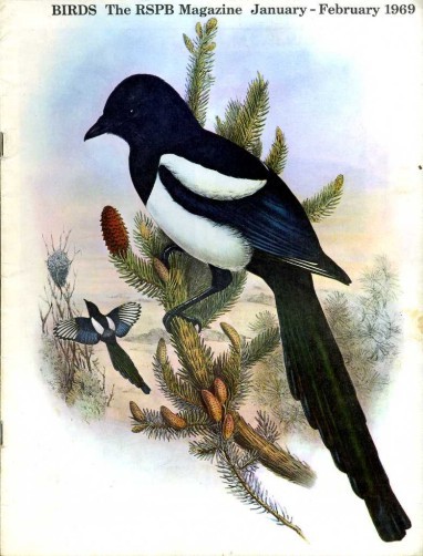 Profumo di lavanda. Ricordi di una bambina in guerra. Garfagnana …