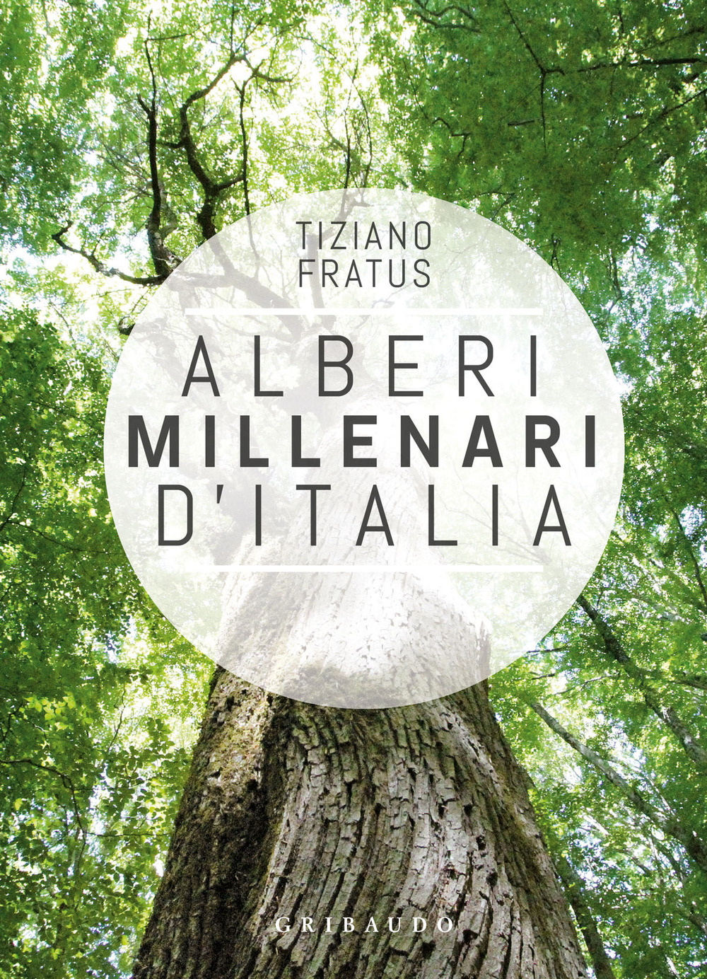 Alberi millenari d'Italia. Un viaggio fra i boschi nascosti. Ediz. …