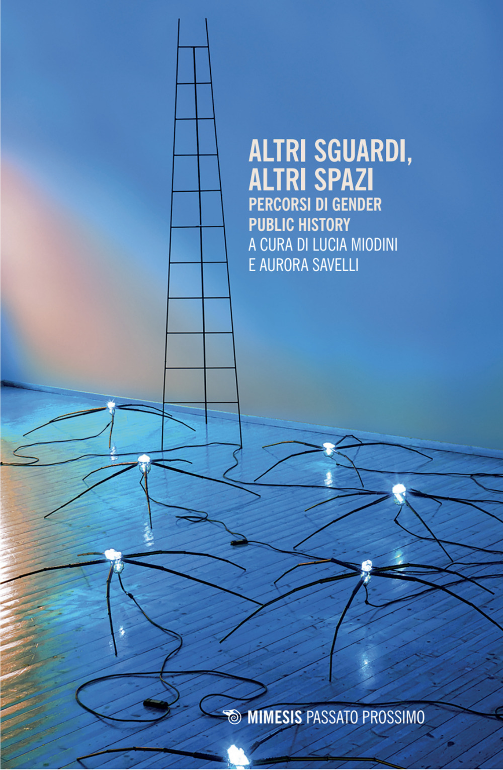 Altri sguardi, altri spazi. Percorsi di gender public history