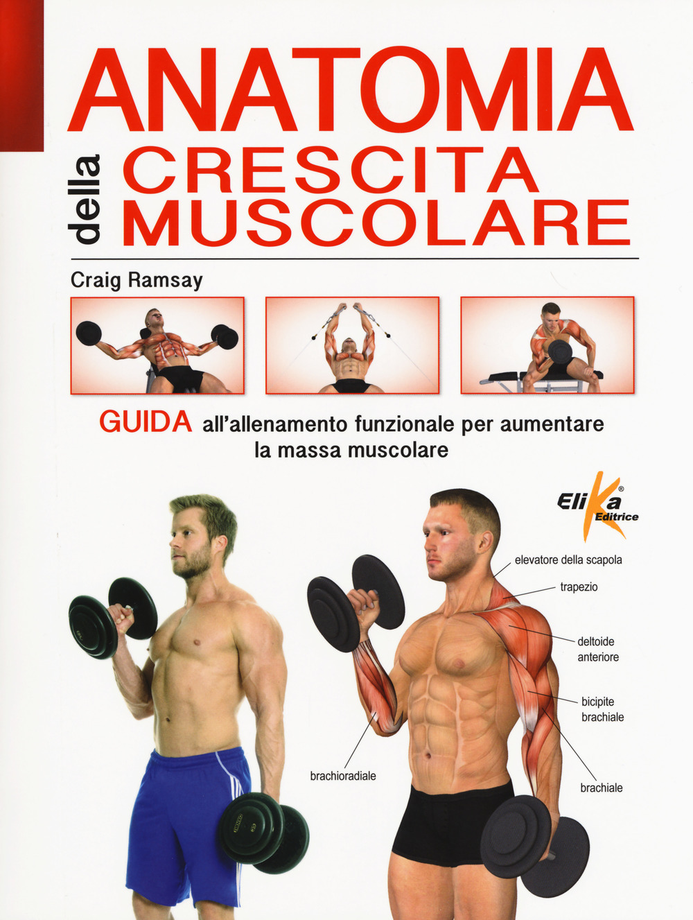 Anatomia della crescita muscolare. Guida all'allenamento funzionale per aumentare la …