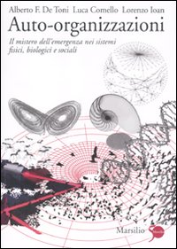 Auto-organizzazioni. Il mistero dell'emergenza dal basso nei sistemi fisici, biologici …
