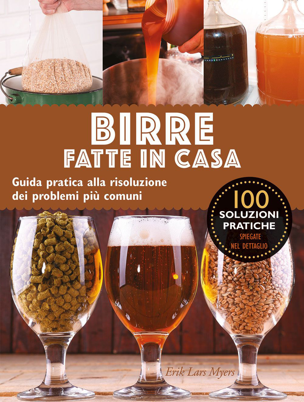 Birre fatte in casa. Guida pratica alla risoluzione dei problemi …