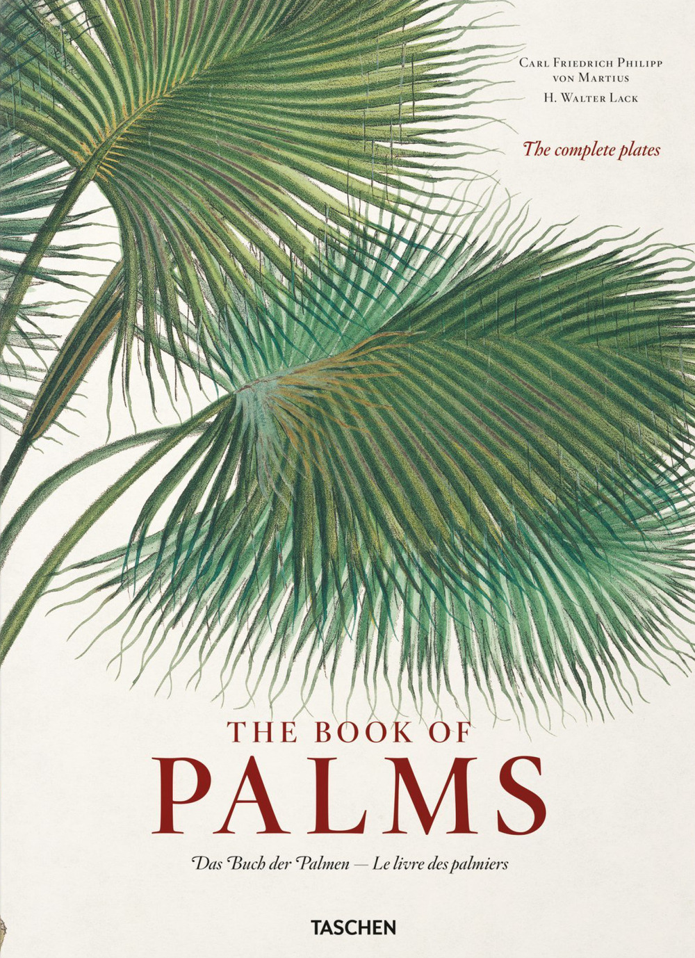 C. F. P. von Martius. The book of palms. Ediz. …
