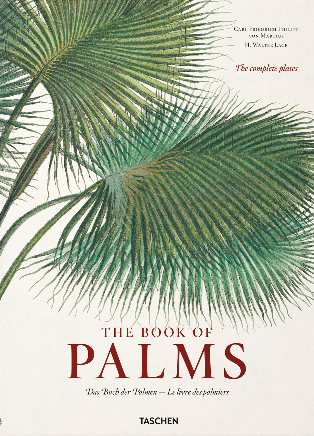 C. F. P. von Martius. The book of palms. Ediz. …