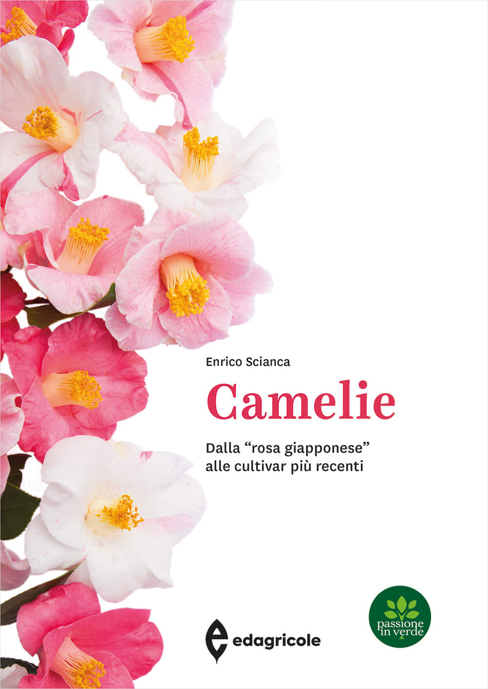 Camelie. Dalla «rosa giapponese» alle cultivar più recenti. Ediz. a …