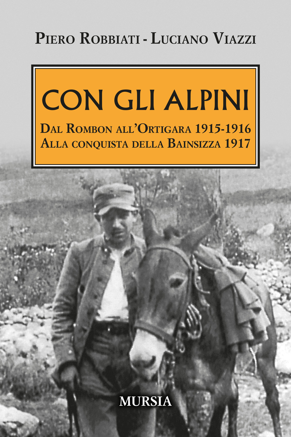 Con gli alpini. Dal Rombon all'Ortigara 1915-1916. Alla conquista della …