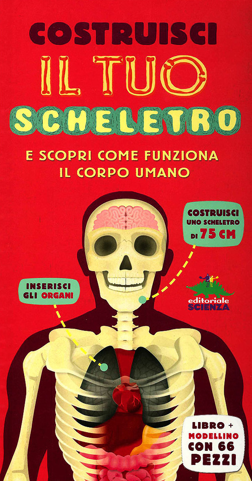 Costruisci il tuo scheletro e scopri come funziona il corpo …
