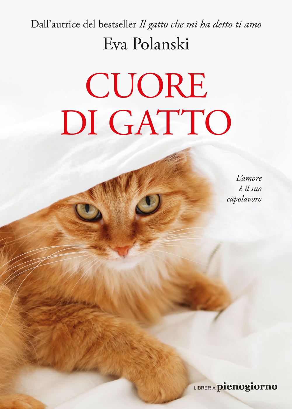 Cuore di gatto