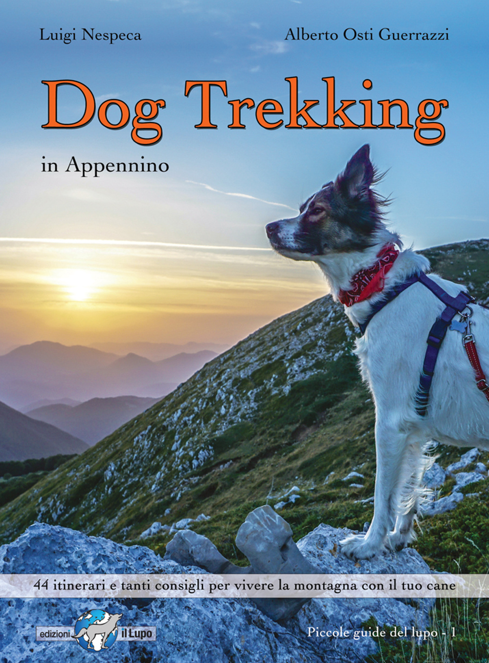 Dog trekking in Appennino. 44 itinerari e tanti consigli per …