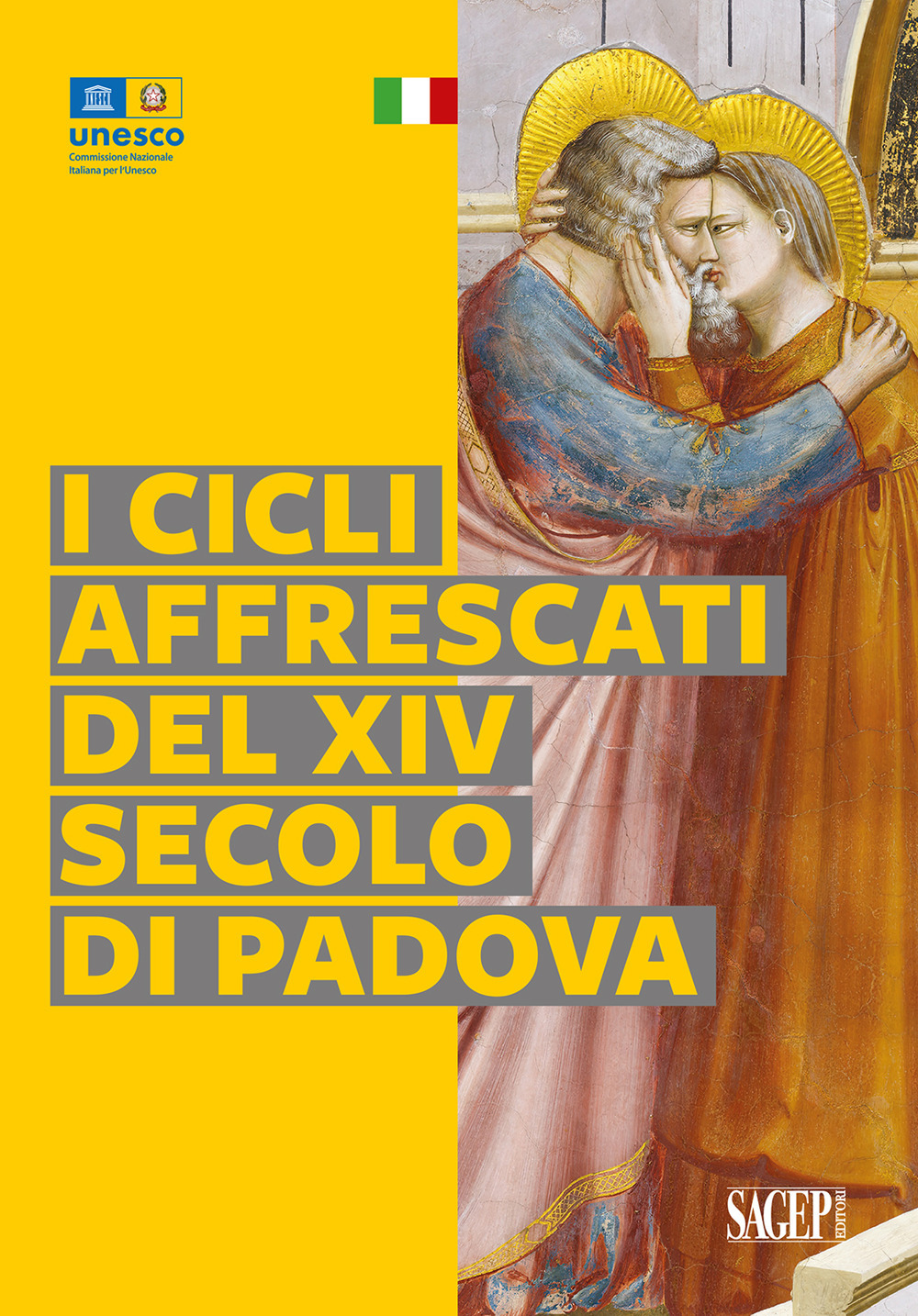 I cicli affrescati del XIV secolo di Padova. Ediz. illustrata