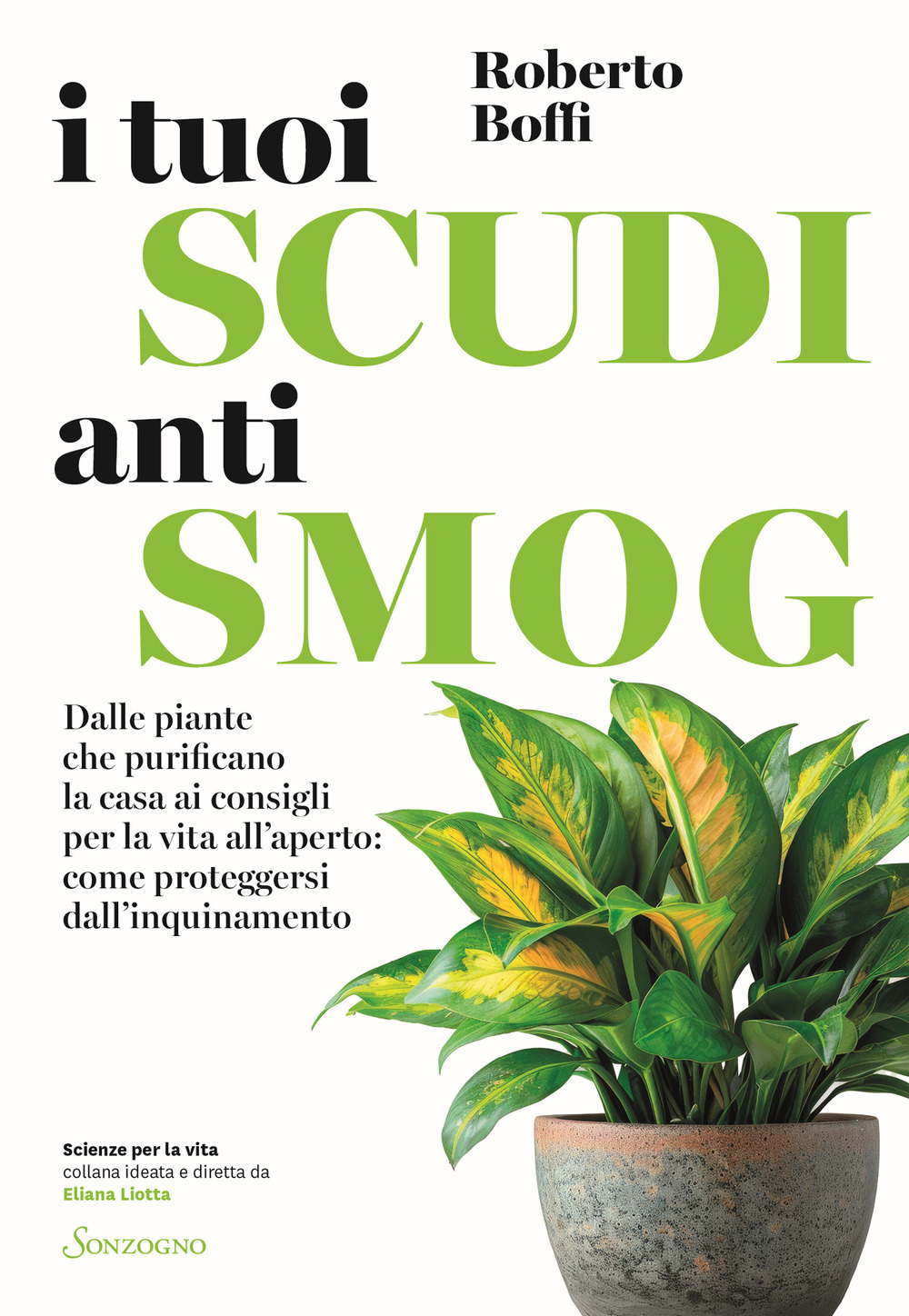 I tuoi scudi antismog. Dalle piante che purificano la casa …