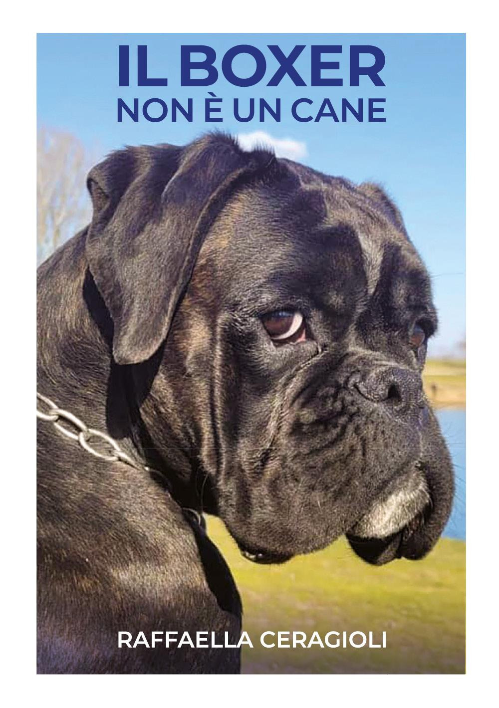 Il boxer non è un cane