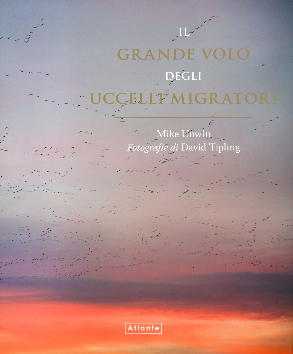 Il grande volo degli uccelli migratori