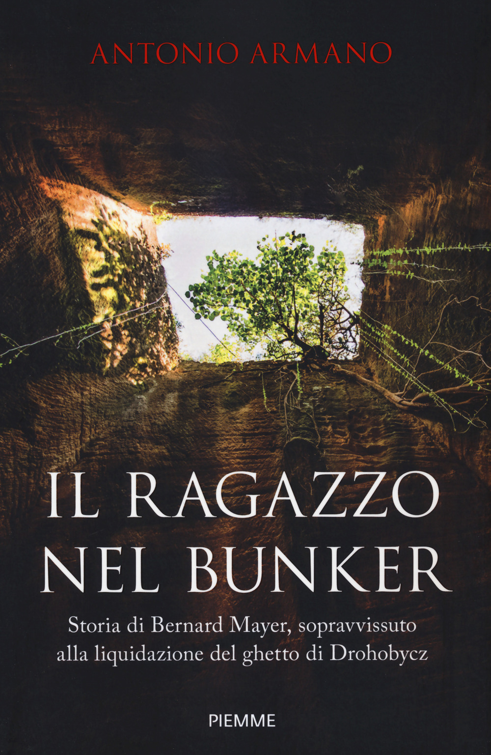 Il ragazzo nel bunker. Storia di Bernard Mayer, sopravvissuto alla …