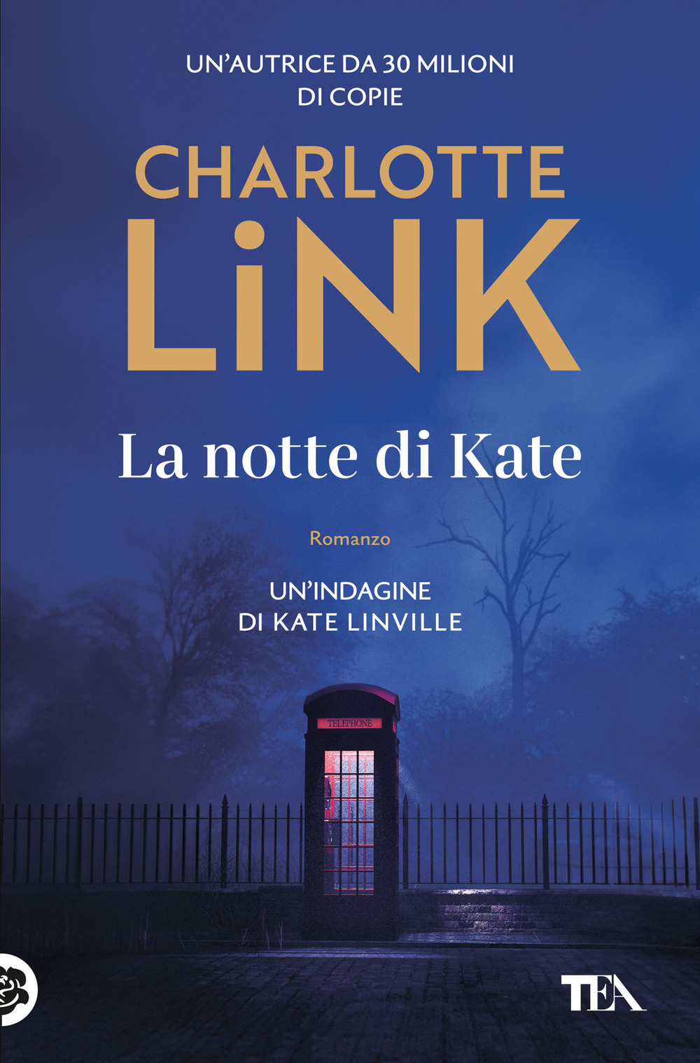 La notte di Kate. Le indagini di Kate Linville