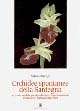 Orchidee spontanee della Sardegna. Origine, morfologia, riproduzione, impollinazione, ibridazione, anomalie, …