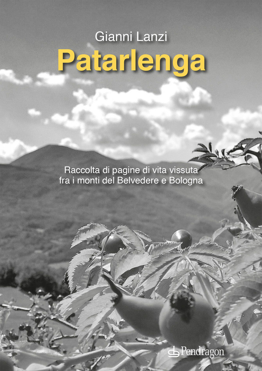 Patarlenga. Raccolta di pagine di vita vissuta fra i monti …