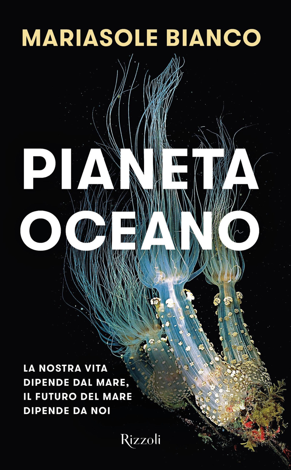 Pianeta oceano. La nostra vita dipende dal mare, il futuro …