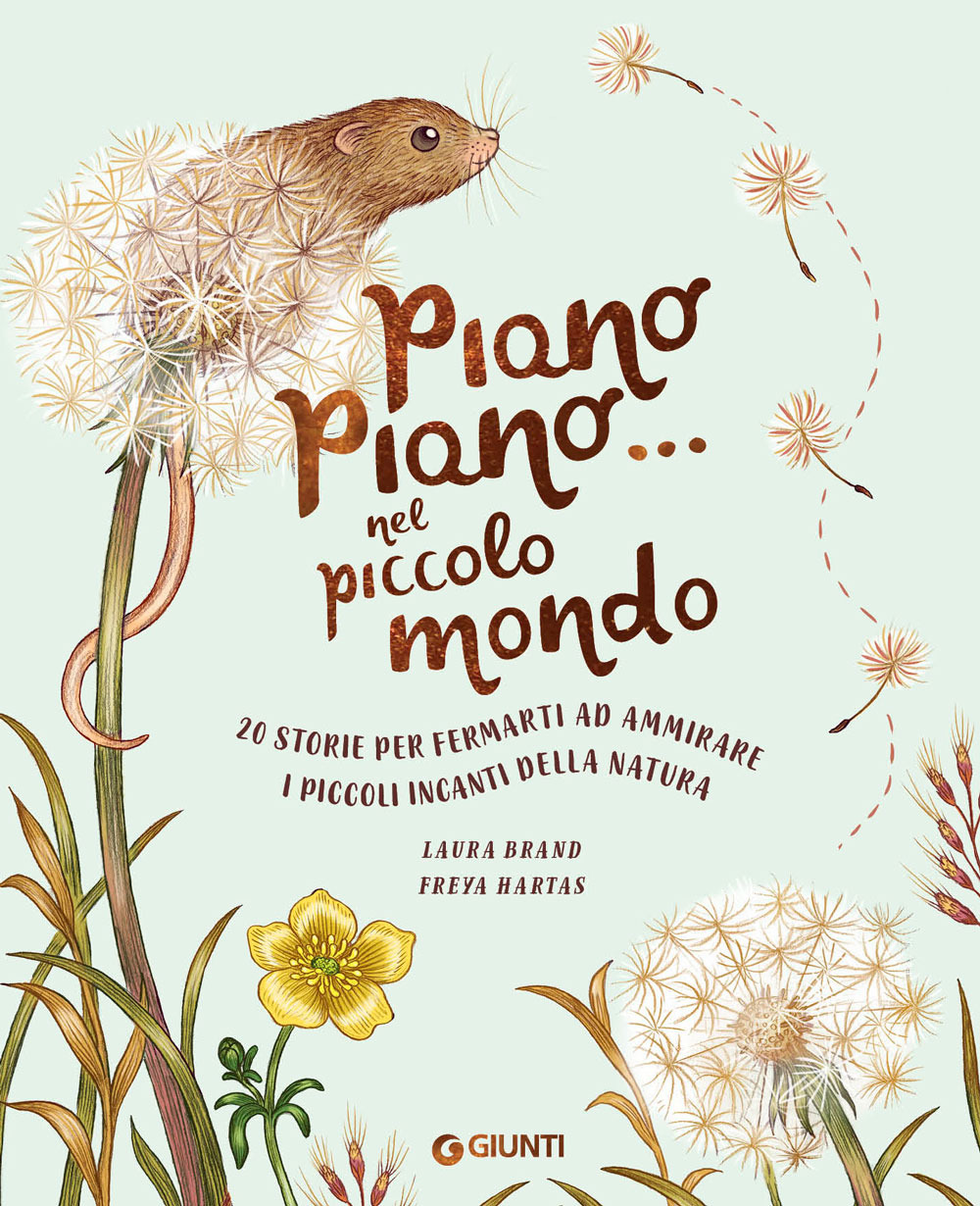 Piano piano. nel piccolo mondo. 20 storie per fermarti ad …