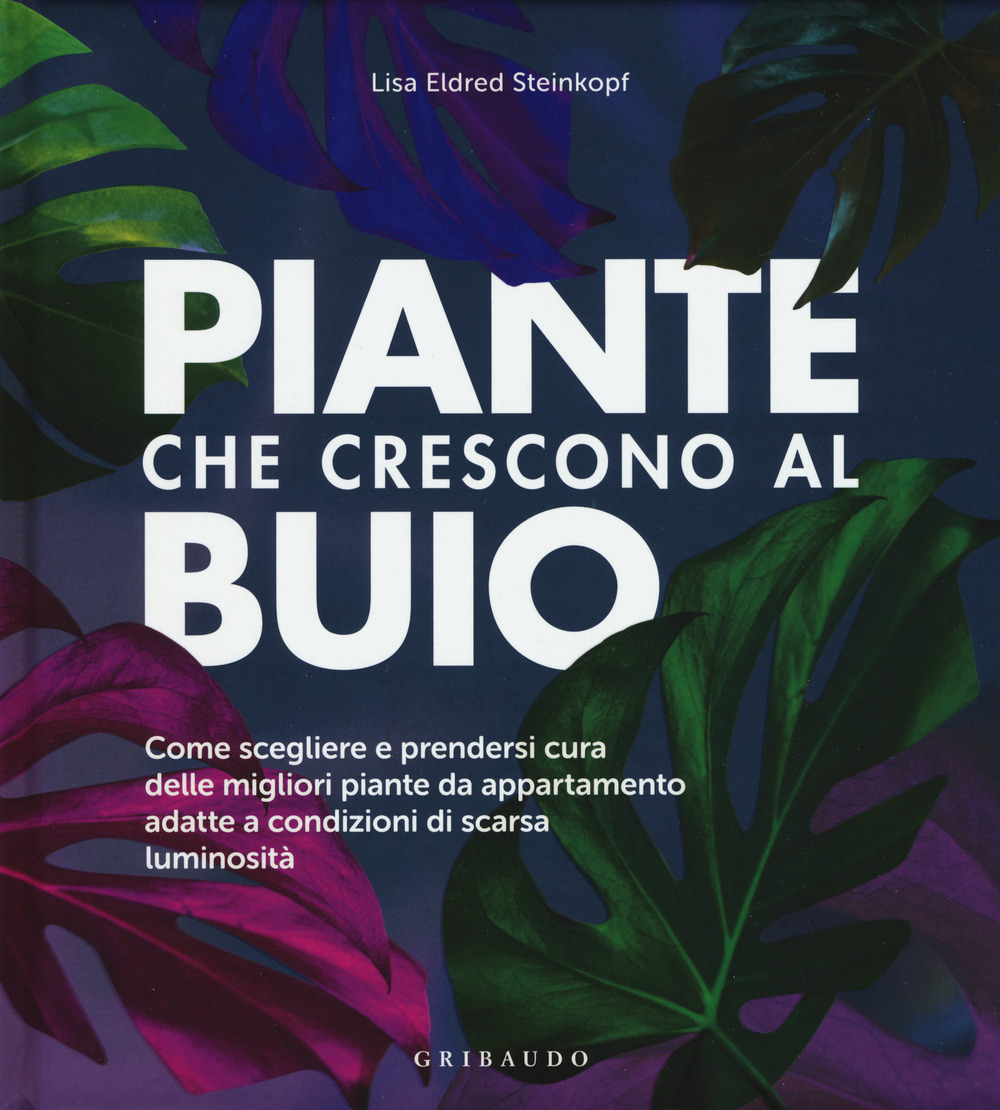Piante che crescono al buio. Come scegliere e prendersi cura …