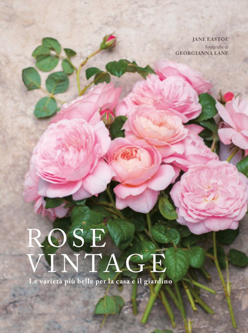 Rose vintage. Le varietà più belle per la casa e …