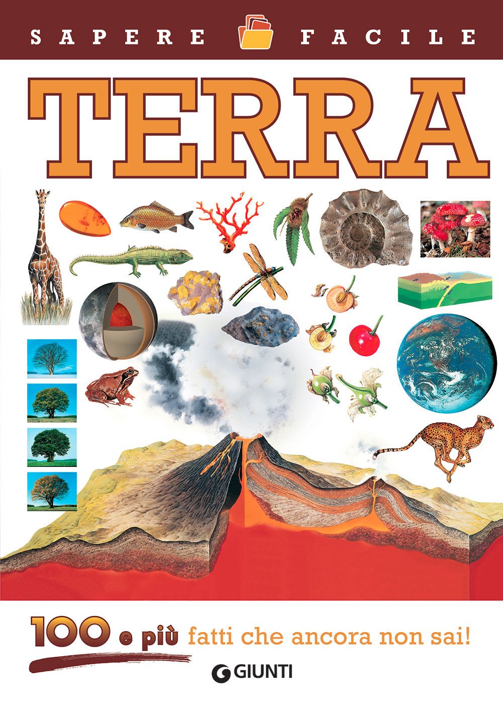 Terra. 100 e più fatti che ancora non sai! Ediz. …