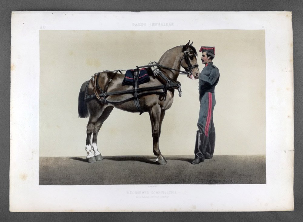 Garde imperiale. Regiments d'Artillerie. Cheval d'attelage. Cannonier conducteur