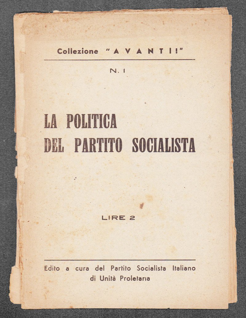 La politica del Partito socialista