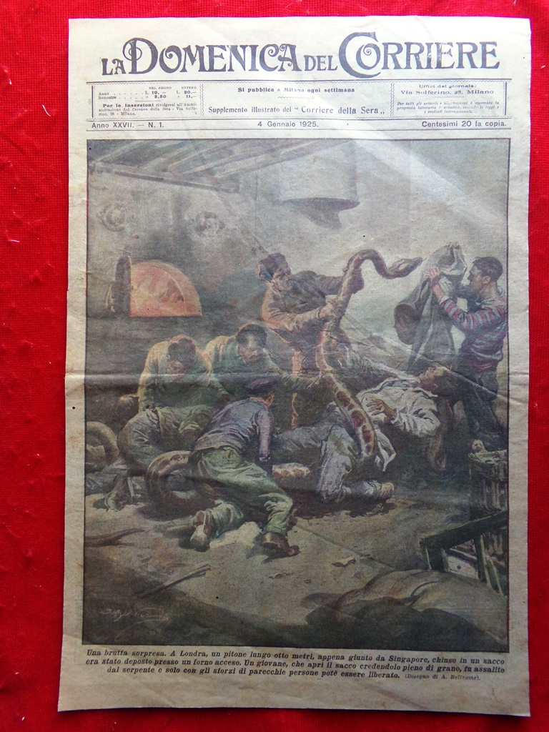 Copertina Domenica Corriere nr. 1 del 1925 Pitone Londra Singapore …