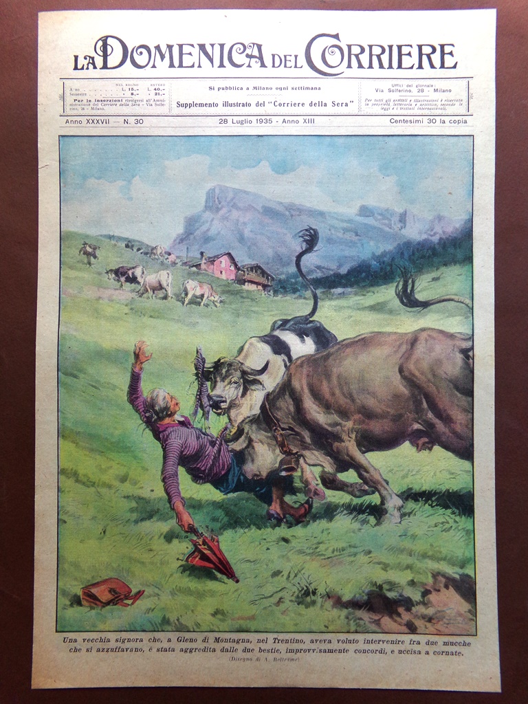 Copertina Domenica Corriere nr. 30 del 1935 Mucche Gleno di …