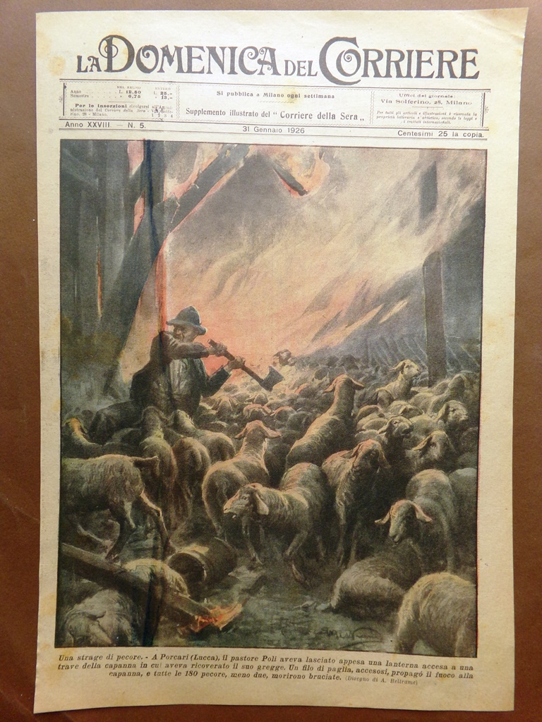 Copertina Domenica Corriere nr. 5 del 1926 Strage di Pecore …