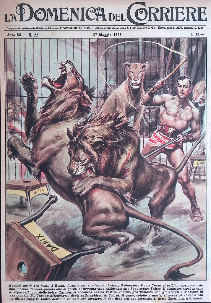 Copertina Domenica del Corriere nr. 22 del 1956 Duello Leoni …